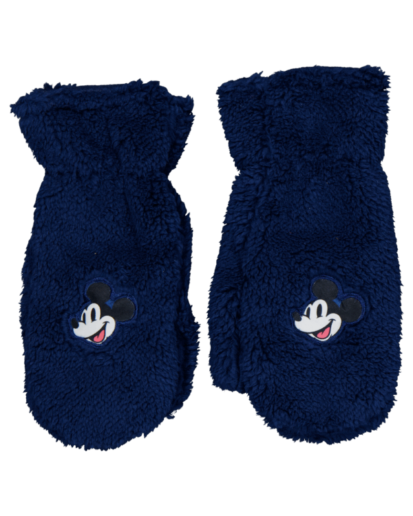 Handschoenen - Blauw