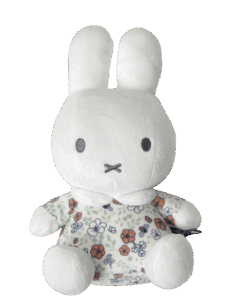 Vorige productafbeelding